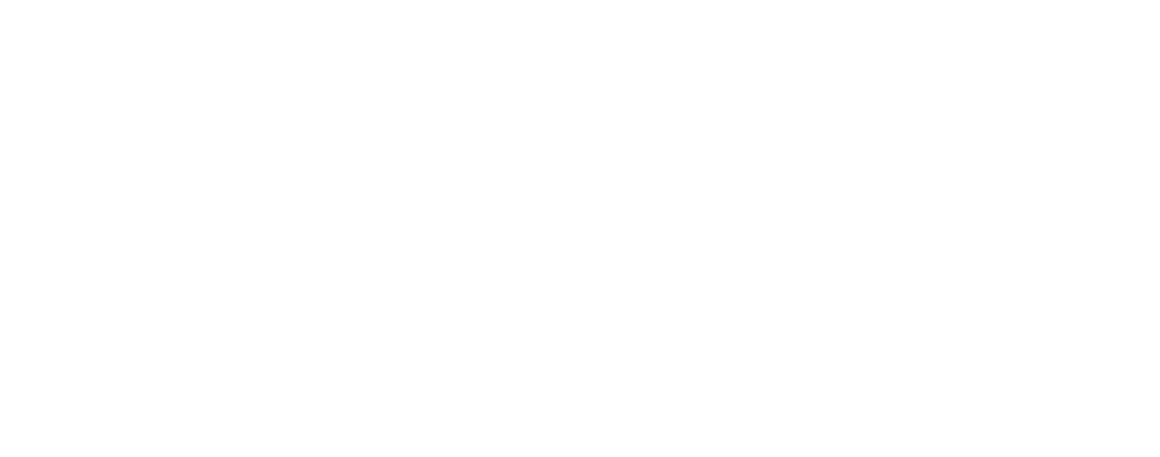 logo SG WHITE